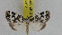  ( - ZWIER DNA 0943)  @12 [ ] CreativeCommons - Attribution Non-Commercial Share-Alike (2012) J. H. H. Zwier Unspecified