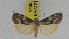  ( - ZWIER DNA 0946)  @13 [ ] CreativeCommons - Attribution Non-Commercial Share-Alike (2012) J. H. H. Zwier Unspecified