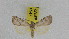 ( - ZWIER DNA 0947)  @13 [ ] CreativeCommons - Attribution Non-Commercial Share-Alike (2012) J. H. H. Zwier Unspecified
