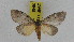  ( - ZWIER DNA 0948)  @13 [ ] CreativeCommons - Attribution Non-Commercial Share-Alike (2012) J. H. H. Zwier Unspecified