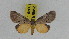  ( - ZWIER DNA 0949)  @11 [ ] CreativeCommons - Attribution Non-Commercial Share-Alike (2012) J. H. H. Zwier Unspecified