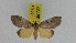  ( - ZWIER DNA 0950)  @13 [ ] CreativeCommons - Attribution Non-Commercial Share-Alike (2012) J. H. H. Zwier Unspecified