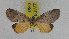  ( - ZWIER DNA 0951)  @11 [ ] CreativeCommons - Attribution Non-Commercial Share-Alike (2012) J. H. H. Zwier Unspecified