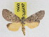  ( - ZWIER DNA 0953)  @11 [ ] CreativeCommons - Attribution Non-Commercial Share-Alike (2012) J. H. H. Zwier Unspecified