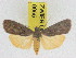  ( - ZWIER DNA 0955)  @13 [ ] CreativeCommons - Attribution Non-Commercial Share-Alike (2012) J. H. H. Zwier Unspecified
