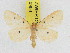  ( - ZWIER DNA 0956)  @13 [ ] CreativeCommons - Attribution Non-Commercial Share-Alike (2012) J. H. H. Zwier Unspecified