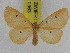  ( - ZWIER DNA 0963)  @13 [ ] CreativeCommons - Attribution Non-Commercial Share-Alike (2012) J. H. H. Zwier Unspecified