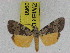  ( - ZWIER DNA 0968)  @13 [ ] CreativeCommons - Attribution Non-Commercial Share-Alike (2012) J. H. H. Zwier Unspecified