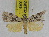  ( - ZWIER DNA 0969)  @13 [ ] CreativeCommons - Attribution Non-Commercial Share-Alike (2012) J. H. H. Zwier Unspecified