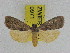  ( - ZWIER DNA 0971)  @11 [ ] CreativeCommons - Attribution Non-Commercial Share-Alike (2012) J. H. H. Zwier Unspecified