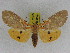  ( - ZWIER DNA 0975)  @13 [ ] CreativeCommons - Attribution Non-Commercial Share-Alike (2012) J. H. H. Zwier Unspecified