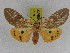  ( - ZWIER DNA 0976)  @13 [ ] CreativeCommons - Attribution Non-Commercial Share-Alike (2012) J. H. H. Zwier Unspecified