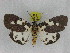  ( - ZWIER DNA 0991)  @13 [ ] CreativeCommons - Attribution Non-Commercial Share-Alike (2012) J. H. H. Zwier Unspecified