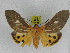  ( - ZWIER DNA 0993)  @14 [ ] CreativeCommons - Attribution Non-Commercial Share-Alike (2012) J. H. H. Zwier Unspecified