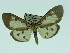  ( - ZWIER DNA 0050)  @13 [ ] Copyright (2010) Unspecified Research Collection of Jaap Zwier
