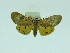 ( - ZWIER DNA 0057)  @12 [ ] Copyright (2010) Unspecified Research Collection of Jaap Zwier