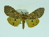  ( - ZWIER DNA 0058)  @13 [ ] Copyright (2010) Unspecified Research Collection of Jaap Zwier
