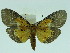 ( - ZWIER DNA 0067)  @14 [ ] Copyright (2010) Unspecified Research Collection of Jaap Zwier