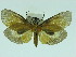  ( - ZWIER DNA 0068)  @14 [ ] Copyright (2010) Unspecified Research Collection of Jaap Zwier