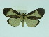  ( - ZWIER DNA 0071)  @13 [ ] Copyright (2010) Unspecified Research Collection of Jaap Zwier