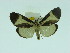  ( - ZWIER DNA 0072)  @13 [ ] Copyright (2010) Unspecified Research Collection of Jaap Zwier