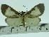  ( - ZWIER DNA 0075)  @11 [ ] Copyright (2010) Unspecified Research Collection of Jaap Zwier