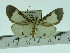  ( - ZWIER DNA 0076)  @11 [ ] Copyright (2010) Unspecified Research Collection of Jaap Zwier