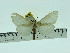  ( - ZWIER DNA 0079)  @12 [ ] Copyright (2010) Unspecified Research Collection of Jaap Zwier