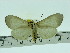  ( - ZWIER DNA 0080)  @12 [ ] Copyright (2010) Unspecified Research Collection of Jaap Zwier