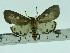  ( - ZWIER DNA 0081)  @14 [ ] Copyright (2010) Unspecified Research Collection of Jaap Zwier