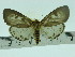  ( - ZWIER DNA 0082)  @14 [ ] Copyright (2010) Unspecified Research Collection of Jaap Zwier