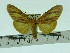  ( - ZWIER DNA 0089)  @11 [ ] Copyright (2010) Unspecified Research Collection of Jaap Zwier