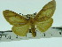  ( - ZWIER DNA 0090)  @11 [ ] Copyright (2010) Unspecified Research Collection of Jaap Zwier