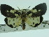  ( - ZWIER DNA 0093)  @13 [ ] Copyright (2010) Unspecified Research Collection of Jaap Zwier