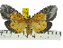  ( - ZWIER DNA 0790)  @15 [ ] Copyright (2010) Unspecified Research Collection of Jaap Zwier
