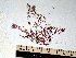  ( - GWS002314)  @11 [ ] CreativeCommons - Attribution Non-Commercial Share-Alike (2010) Unspecified University of New Brunswick