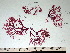  ( - GWS002677)  @11 [ ] CreativeCommons - Attribution Non-Commercial Share-Alike (2010) Unspecified University of New Brunswick