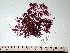  ( - GWS003721)  @11 [ ] CreativeCommons - Attribution Non-Commercial Share-Alike (2010) Unspecified University of New Brunswick