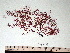  ( - GWS007484)  @11 [ ] CreativeCommons - Attribution Non-Commercial Share-Alike (2010) Unspecified University of New Brunswick