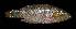  ( - AH9BN98)  @11 [ ] CreativeCommons - Attribution Non-Commercial (2018) Unspecified Smithsonian Institution, Department of Vertebrate Zoology