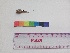  ( - MAKS 110)  @11 [ ] CreativeCommons - Attribution Share-Alike (2018) Unspecified Paul Hebert Centre for DNA Barcoding and Biodiversity Studies
