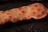  ( - RBCM-S13-3002)  @11 [ ] CreativeCommons - Attribution (2013) Kathryn Hotke Centre for Biodiversity Genomics