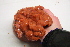  ( - RICK-0006)  @13 [ ] CreativeCommons - Attribution (2013) Kathryn Hotke Centre for Biodiversity Genomics