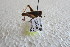  ( - KBGP106)  @11 [ ] CreativeCommons - Attribution Non-Commercial Share-Alike (2017) Unspecified Stellenbosch University
