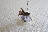  ( - KBGP107)  @11 [ ] CreativeCommons - Attribution Non-Commercial Share-Alike (2017) Unspecified Stellenbosch University