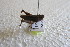  ( - KBGP109)  @11 [ ] CreativeCommons - Attribution Non-Commercial Share-Alike (2017) Unspecified Stellenbosch University