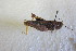  ( - KBGP28)  @11 [ ] CreativeCommons - Attribution Non-Commercial Share-Alike (2017) Unspecified Stellenbosch University