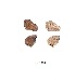  (Anthene talboti - KBGPB34)  @11 [ ] CreativeCommons - Attribution Non-Commercial Share-Alike (2017) Unspecified he Lepidopterists Society of Africa