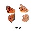  ( - KBGPB161)  @11 [ ] CreativeCommons - Attribution Non-Commercial Share-Alike (2017) Unspecified he Lepidopterists Society of Africa