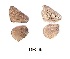  ( - KBGPB200)  @11 [ ] CreativeCommons - Attribution Non-Commercial Share-Alike (2017) Unspecified he Lepidopterists Society of Africa